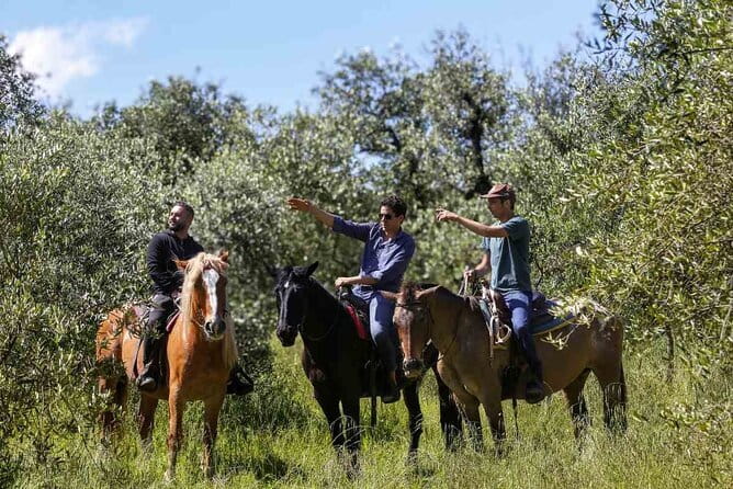 Private Palm Beach Picnics, Toscana - The Sum Up