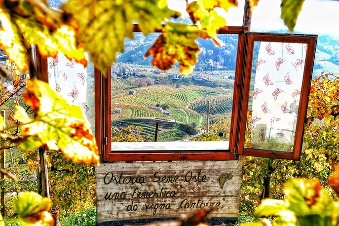 Private Prosecco Tour, with a certified Sommelier - Final Thoughts