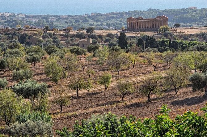 Private Tour Agrigento Valley of the Temples Park and Scala Dei Turchi - Authentic Experiences and Review Highlights
