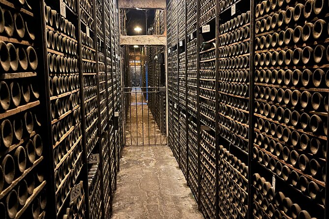 Private tour Bilbao to La Rioja A day of Winery Tours and Tasting - Final Thoughts