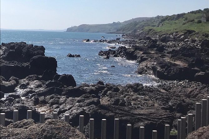Private Tour - Giants Causeway & 2 Stop Tour - The Sum Up