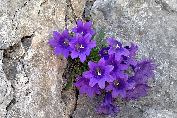 Private tour: Mt.Olympus-Old Panteleimon - FAQ