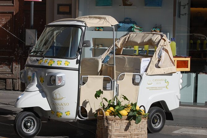 Private tour of limoncello igp with tasting by the sea - Practical Details and Tips