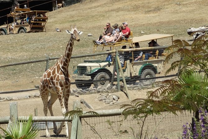 Private Tour of Sonoma Wild Safari Animal Park and Sonoma Redwoods - FAQ