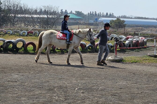 Private Tour South and West Jeju Island with Experienced Driver - Final Thoughts