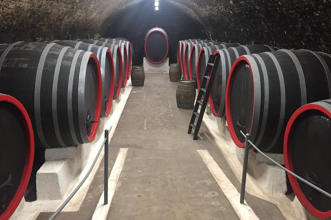 Private wine, food & heritage tour from Prague to Bohemia - Practical Tips for Travelers