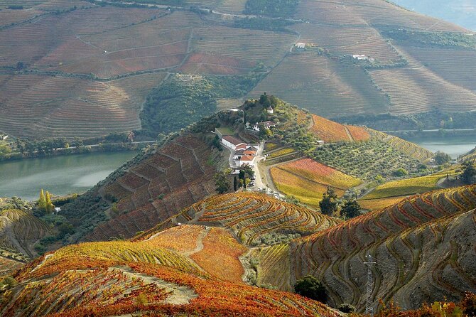 Private Wine & Food Tour in Douro - Final Thoughts