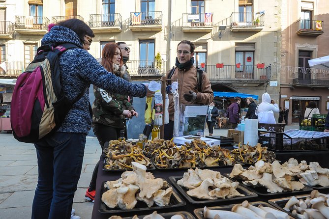 Pyrenees & Medieval Towns Small Group Tour from Barcelona - Who Is This Tour Best For?