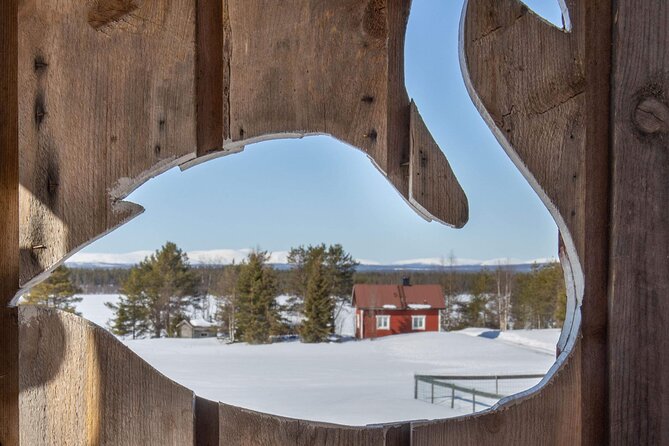 Reindeer Herding and a Snowmobile Slegh Ride - Final Thoughts