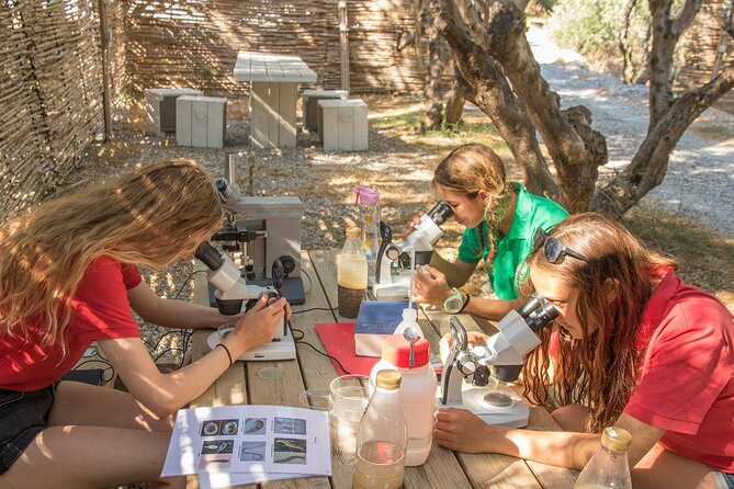 Research diving with a Marine Biologist in Crete - FAQs