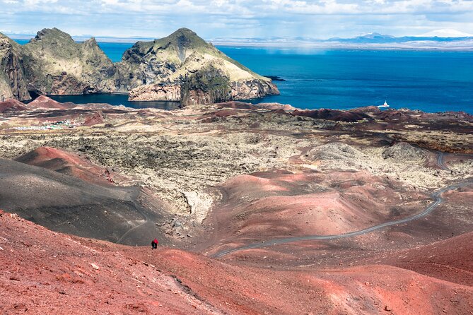Reykjavik - Westman Islands (Bus transfer to Landeyjahöfn) - Authentic Experiences on the Islands