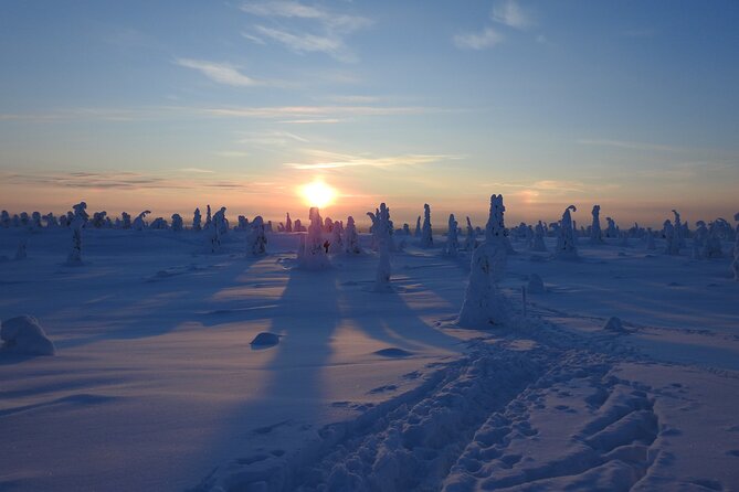 Riisitunturi National Park Snowshoe Experience - Who Is This Tour Best For?