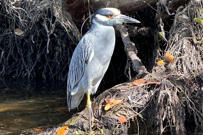 Robinson Preserve Nature Walk Eco Tour - The Guides: Your Personal Nature Experts