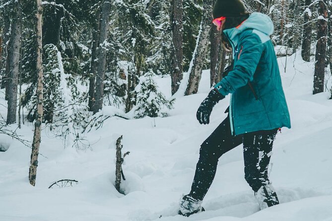 Rovaniemi: Snowshoeing in a magical snowy forest - Final thoughts