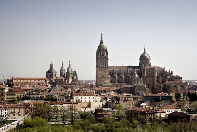 Salamanca and Avila Private Tour from Madrid with Hotel Pickup - The Sum Up: Who Will Love This Tour?
