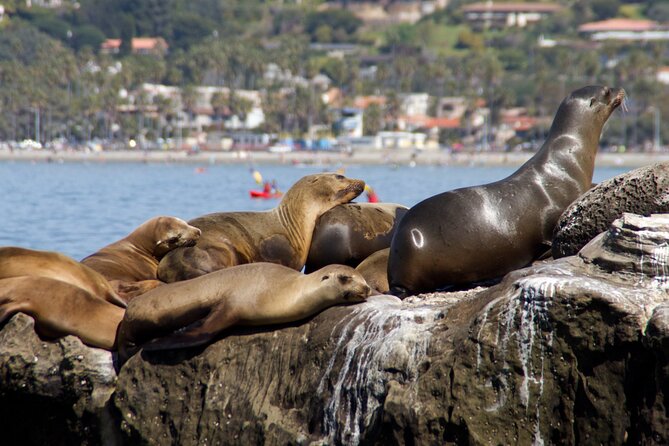 San Diego, and La Jolla Scenic Private Tour from Los Angeles. - Transportation and Additional Details