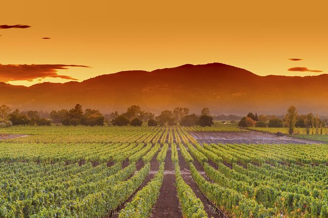 San Francisco Airport Private Transfer to Napa Valley - Authentic Traveler Experiences