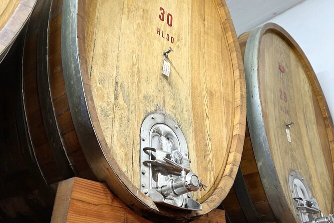 San Gimignano: Vineyard and Cellar Tour with Wine Tasting - Who Should Consider This Tour?