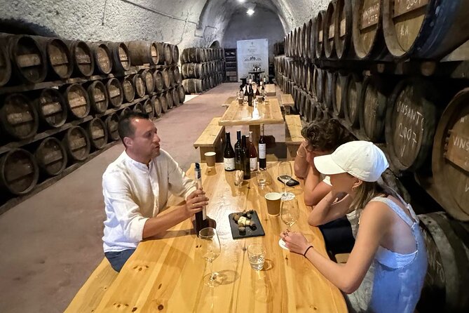 Santorini Mini Wine Tasting Tour at 2 Wineries - Who Should Consider This Tour?