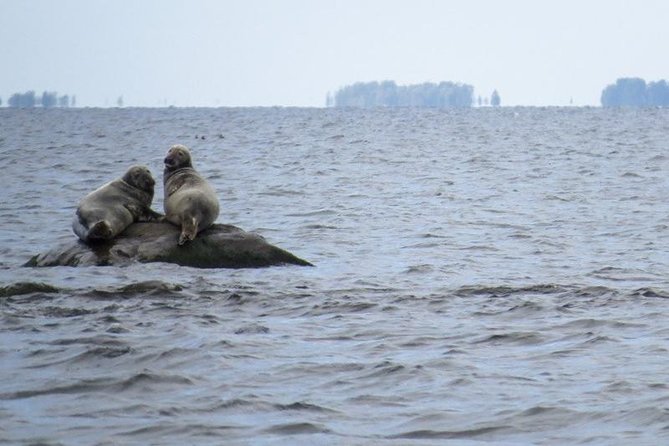Seal-Watching Tour near Malusi Islands - FAQs