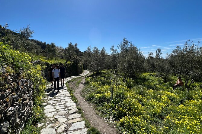 Semi-Private Guided Hiking Cinque Terre Tour from Florence - Who Should Book This Tour?