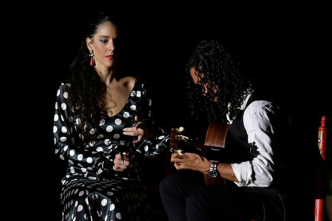 Seville Pure Flamenco Tour - The Authenticity and Performance Quality