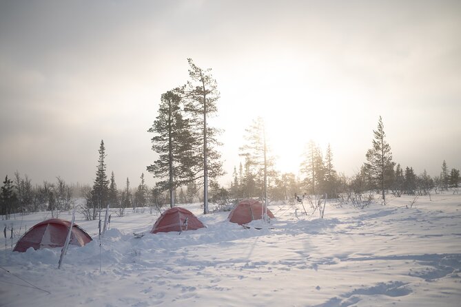 Ski Touring and Winter Fun in Fulufjallet Mountain Plateau - Pricing & Value