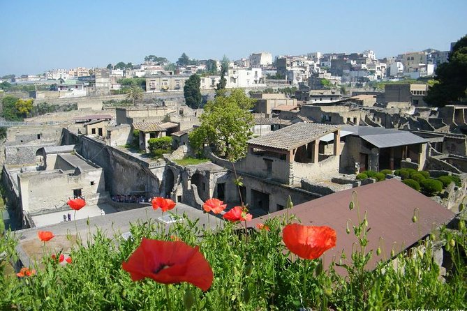 Skip the Line Herculaneum Ruins Ticket - FAQ