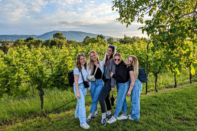 Small-group Vienna Wine Tour - Who Would Love This Tour?