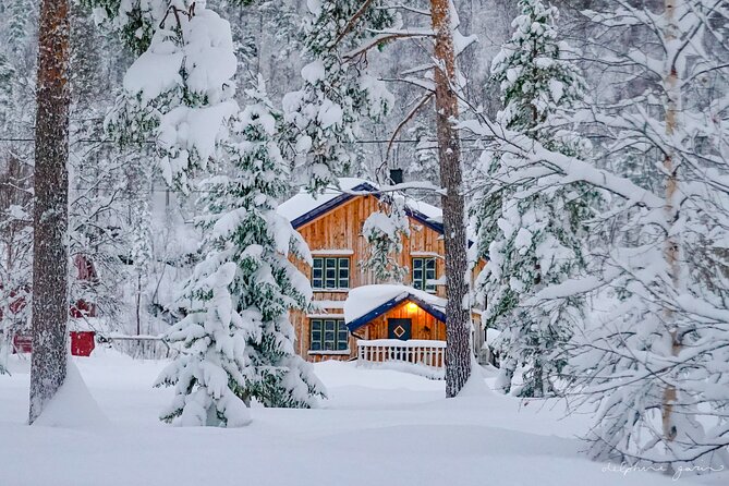 Small Group Wilderness Husky Sledding 2h from Tromsø (car needed) - Final Thoughts
