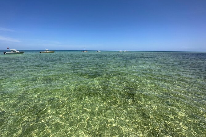 SNORKELING and SANDBAR ADVENTURE! - Final Thoughts: Is It Worth It?
