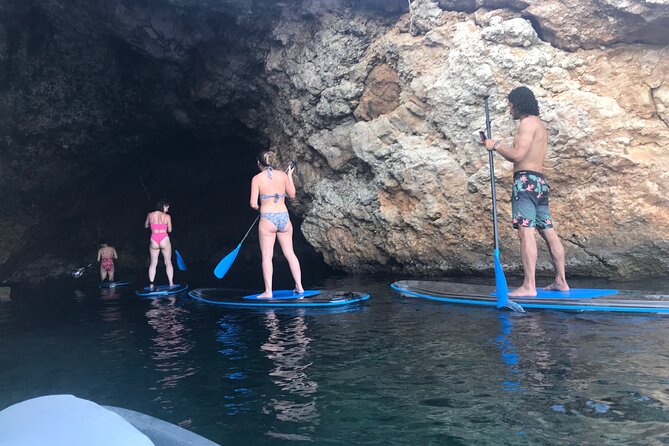 Snorkeling-out : Transparent Kayak or SUP Tour - Why This Tour Offers Great Value