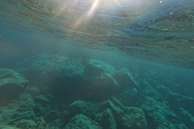 snorkeling ,Turtle Watching in Cyprus - Final Thoughts