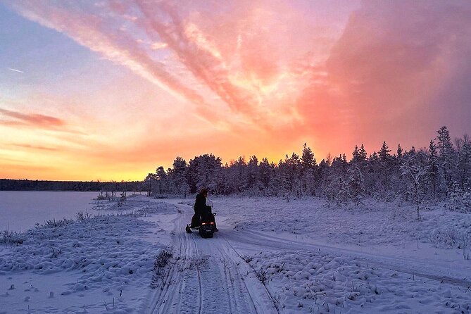 Snowmobile Tour with Small Group in Remote Wilderness 3 Hours - Value and Pricing