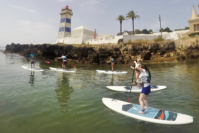 Stand Up Paddle Boarding Lesson of Cascais Bay - Detailed Breakdown of the Tour