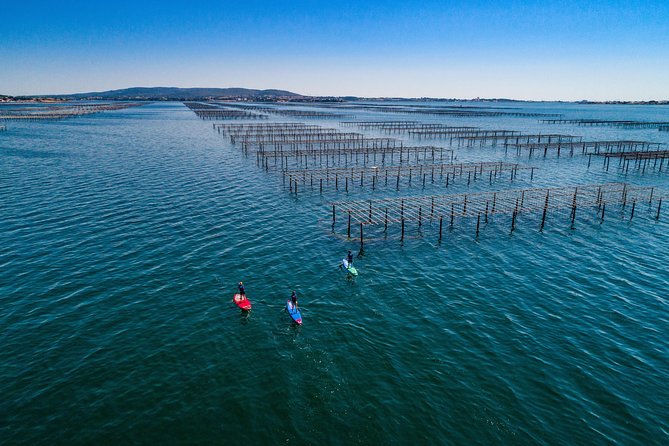 Stand-up-paddle on Laguna of Thau, rental, Sete - Real Traveler Insights