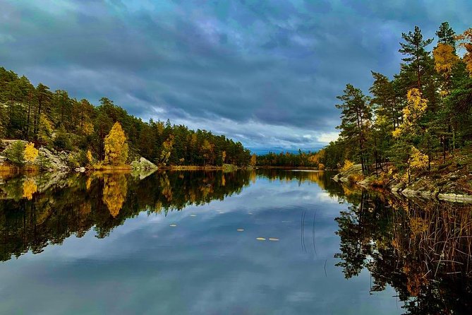 Stockholm: Nature Reserve Hiking Tour with Campfire Lunch - Real Experiences and Insights from Reviewers