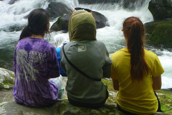 Stroll Back in Time Smokies History Streams and Forest Hike - The Bottom Line