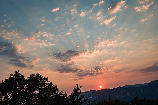 Sunset wine tasting in vineyard - Authenticity and Unique Touches