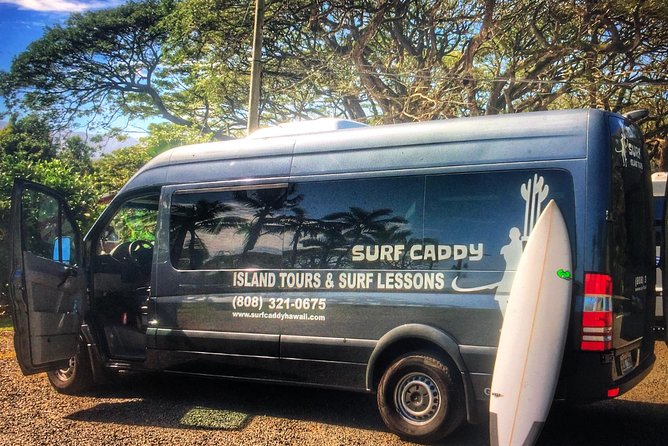 Surf Lessons in Hawaii Paddle Assisted - Who is This Surf Lesson Ideal For?