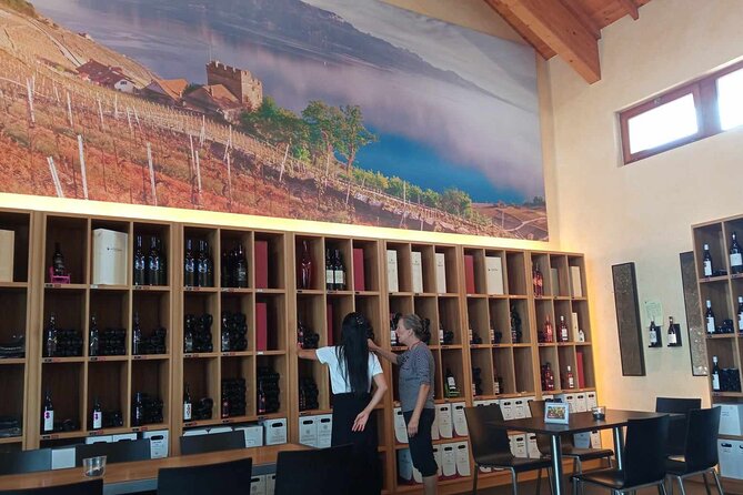 Swiss Vineyard Wine Tasting Tour in Vaud - Who Would Love This Tour?
