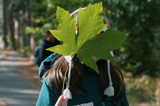 The Evolution of Yosemite 3 Hour Walking Tour - Who Should Book This?