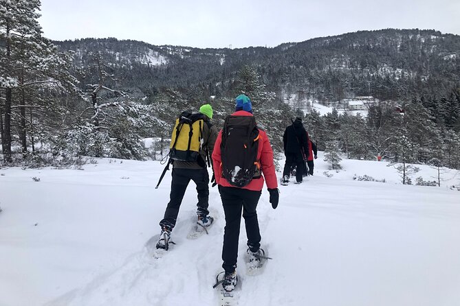 The Southern Norwegian Winter Wonderland Experience - The Sum Up