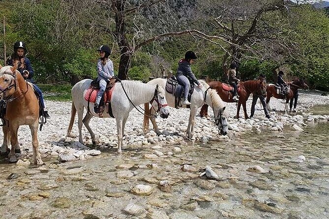 Tour in Acheron River - The Sum Up: Is This Tour Worth It?