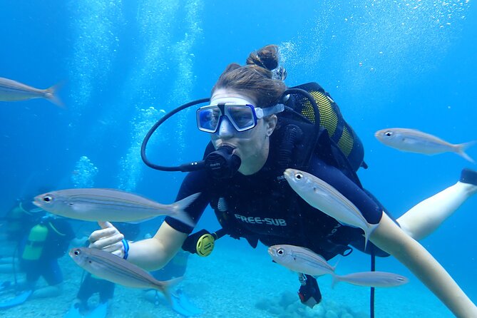 Tour in Alanya with Lunch and Guided Scuba Dives from Side - Why You Should Consider This Tour