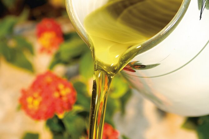 Tour of the oil mill with tasting - A peaceful walk through the olive grove