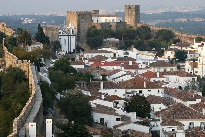 Tour / Transfer Lisbon Porto or Porto Lisbon - Transportation and Flexibility