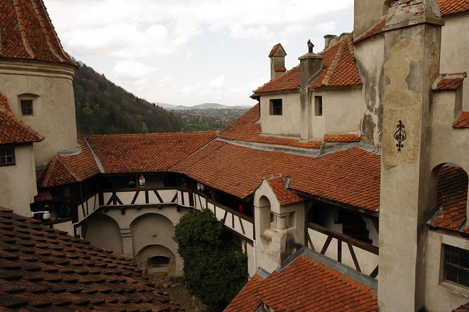 Transylvania with Dracula Castle, Bear Sanctuary and Brasov - Final Thoughts: Is This Tour Right for You?