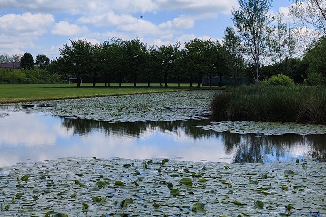 Trekking in the Wood with picnic on the turtles lake - Authentic Experiences from Reviews  