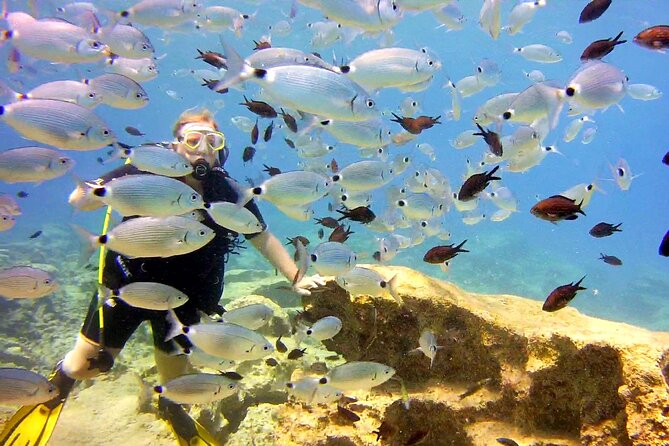 Try Dive - Scuba Diving with a private guide, incl. photos - Practical Details: Transport, Timing, and Price